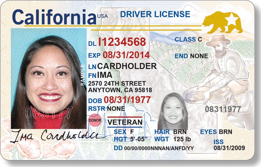 Identification document sample